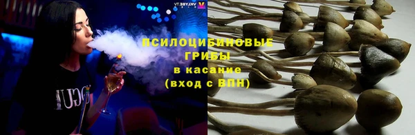 ПСИЛОЦИБИНОВЫЕ ГРИБЫ Михайловка