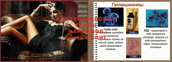 экстази Баксан